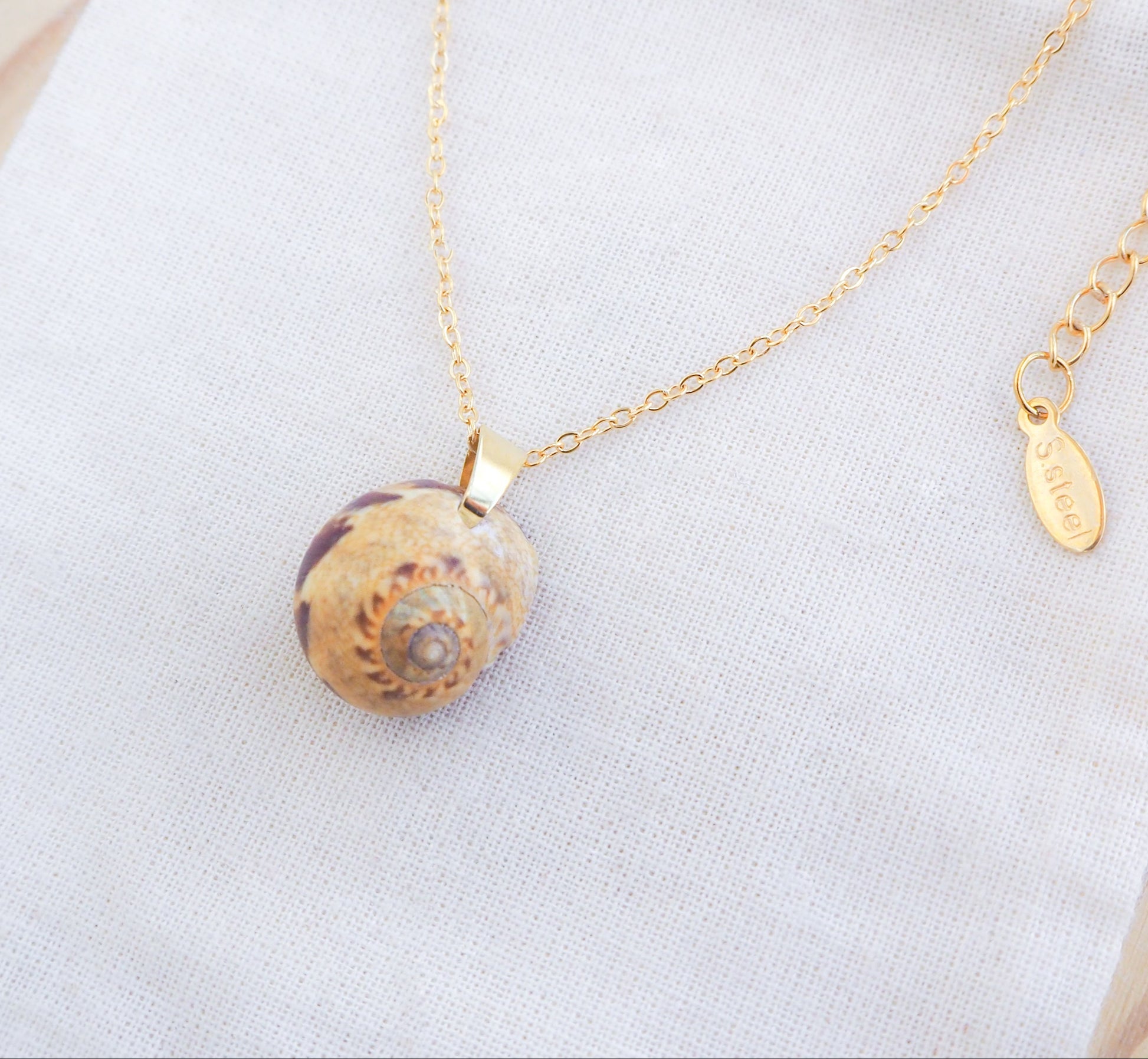 Moon Shell Gold Necklace on display, Shell from Portugal, Euspira nitida shell, Alders Necklace Shel
