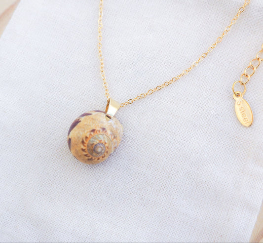 Moon Shell Gold Necklace on display, Shell from Portugal, Euspira nitida shell, Alders Necklace Shel