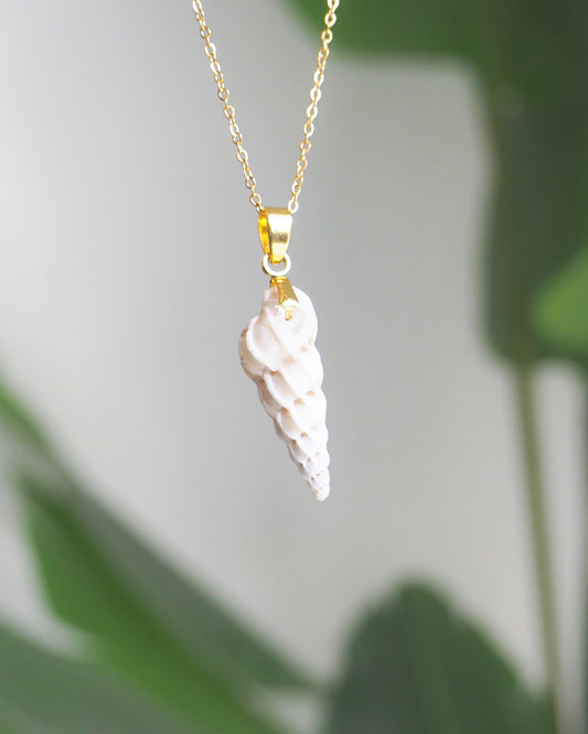 Gold Necklace with White Common Wentletrap front view