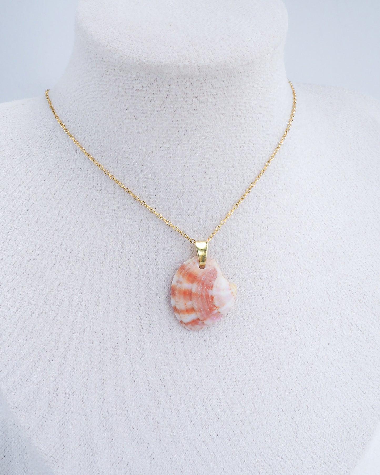 Pink Coral Venus Shell Gold Necklace on neck