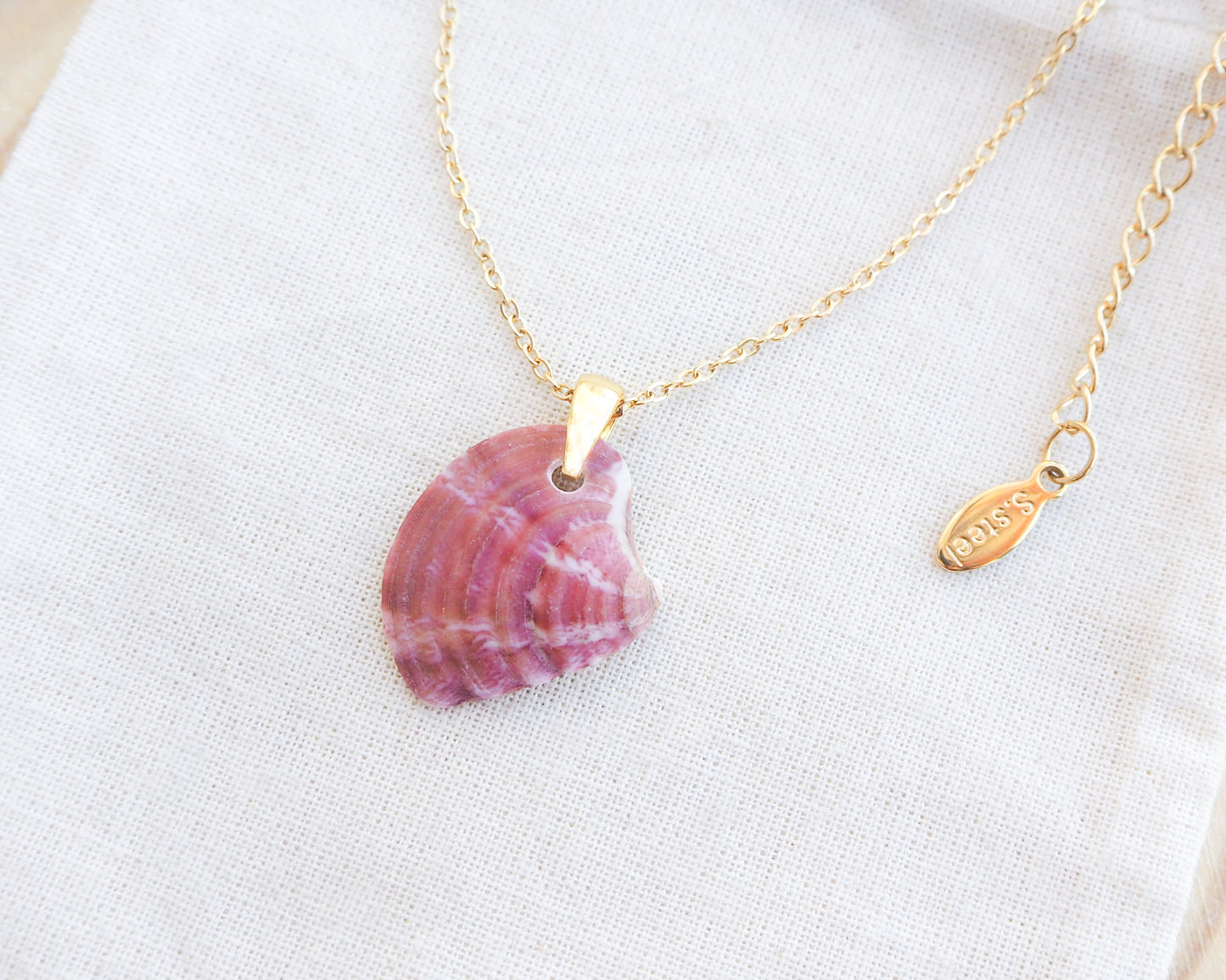 Raspberry Fuchsia Venus Shell Gold Necklace side view on display