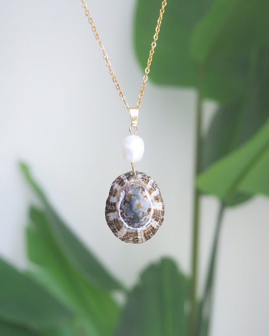 Rustic Limpet Shell Pearl Necklace with green plant background, Blue White Striped Limpet Shell from Portugal with freshwater pearl and gold chain.