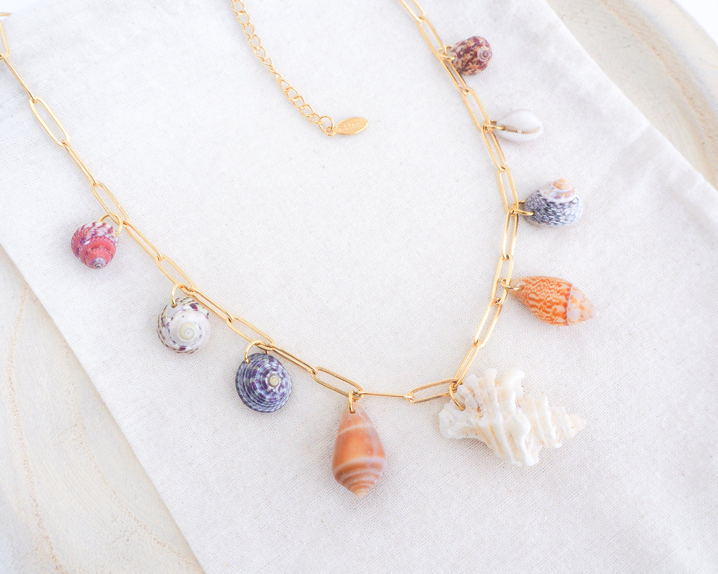 Seashell Charm Gold Necklace on stand. Gold Shell Charm necklace with 9 Shells from Portugal. Cone Shells, Cowrie Shell, Top Shell