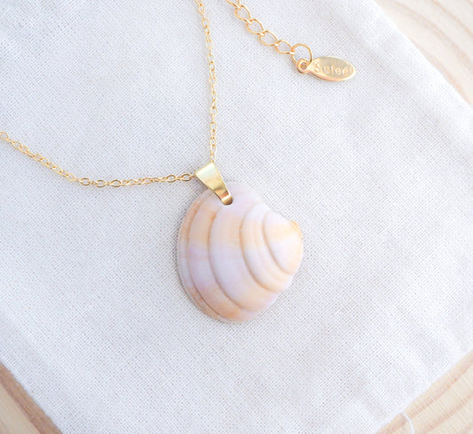 Gold Soft Pink Sunset Venus Shell Necklace on display