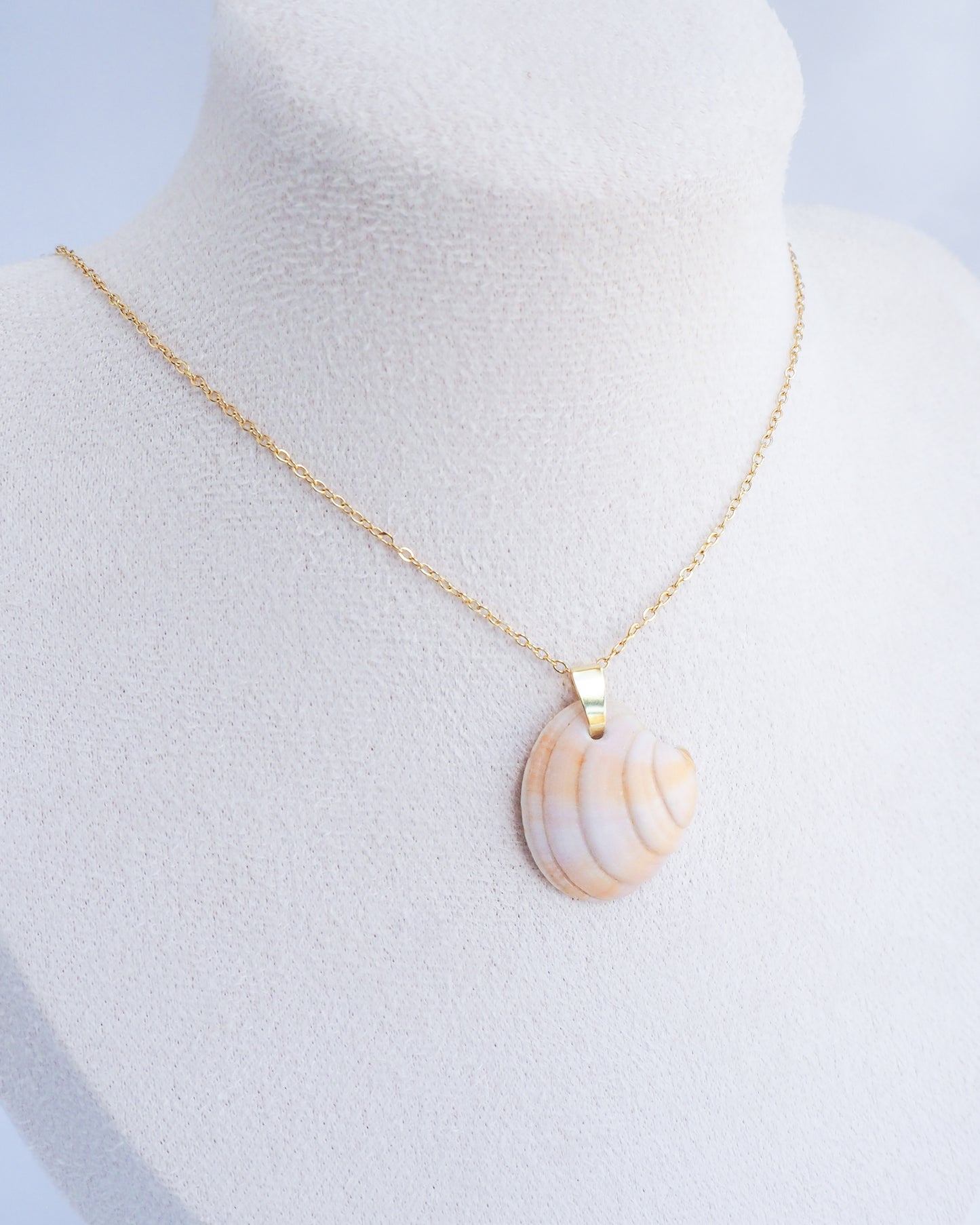 Gold Soft Pink Sunset Venus Shell Necklace on model