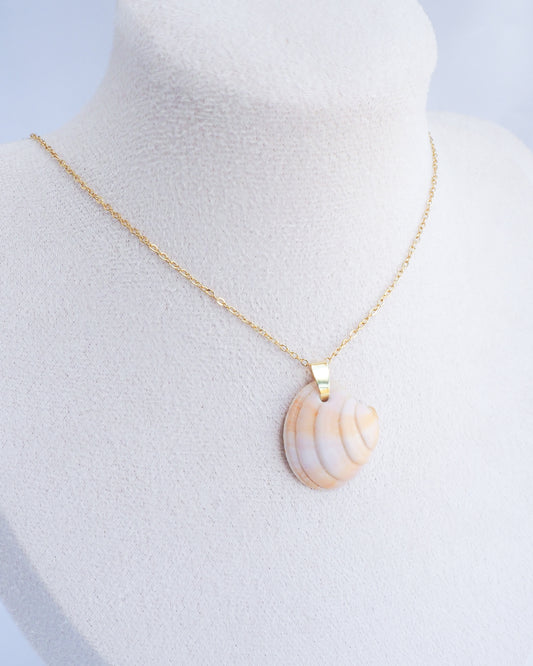 Gold Soft Pink Sunset Venus Shell Necklace on model