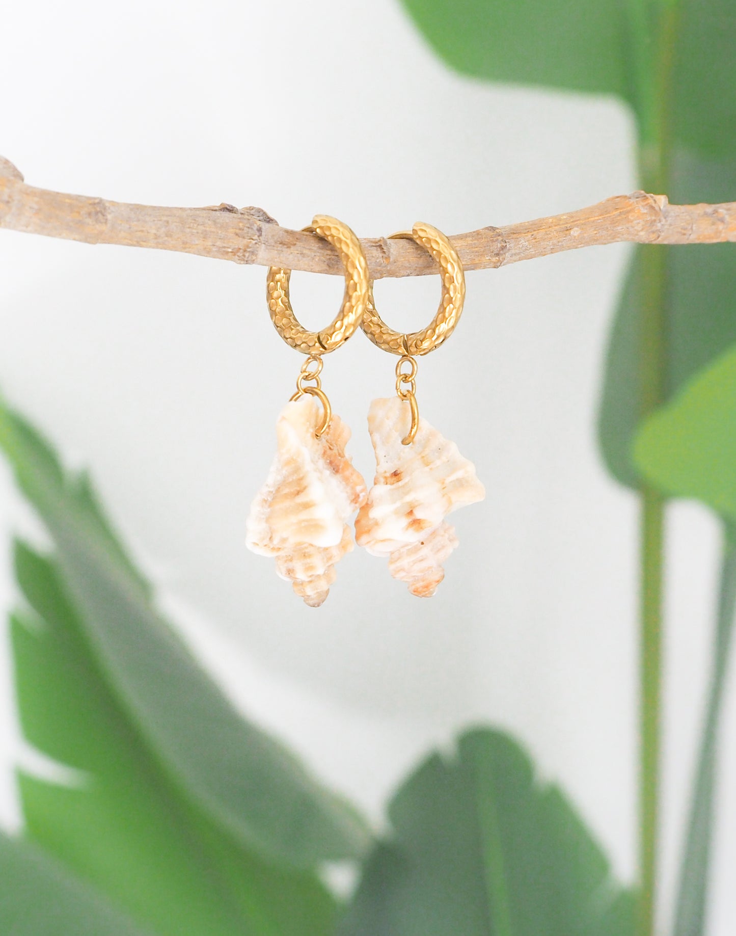 Gold Sting Winkle Shell Earrings with Gold Hoop Hoops close up