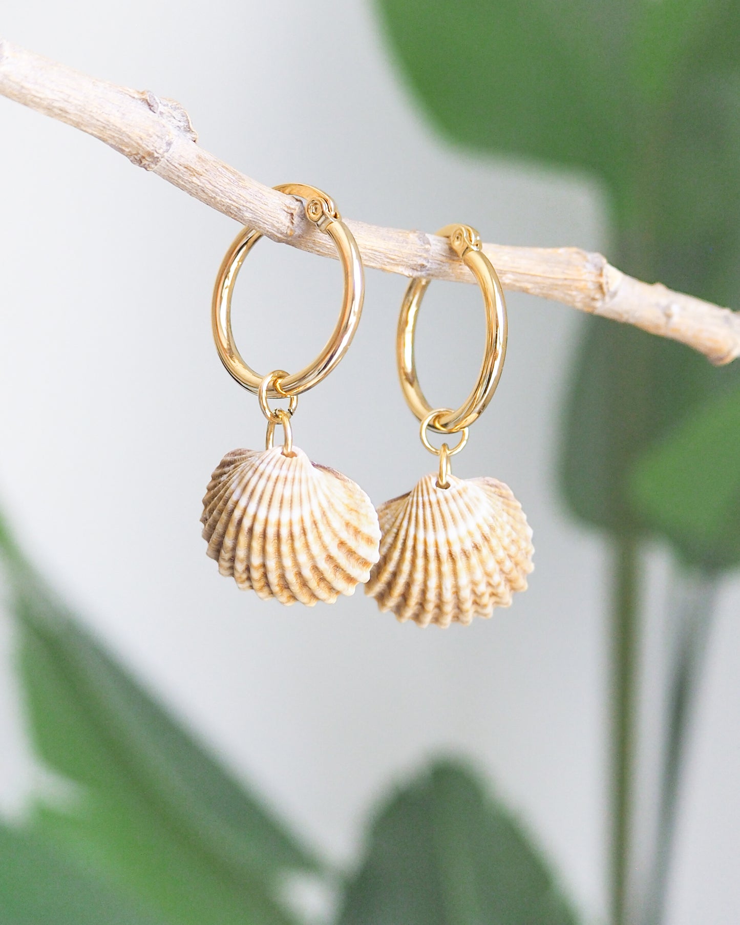 Front view of Sunny Mediterranean Cockle Shell Gold Earrings from Portugal with green plant background handpicked yellow cockle shells from Portugal, seabylou, ocean inspired earrings, beach gift