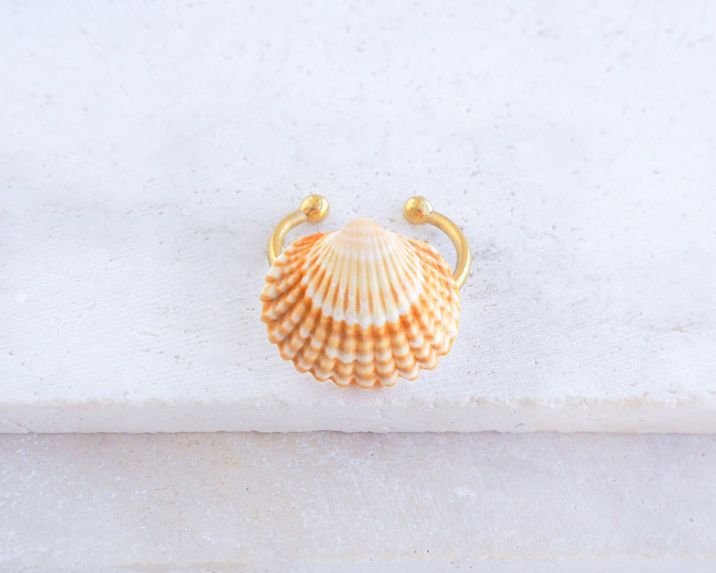 Tiny Sunny Mediterranean Cockle Shell Gold Ring in seashell box, Sunny Shell from Portugal, Summer Jewelry, Sea by Lou