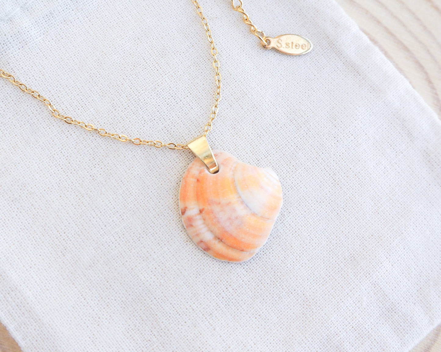 Sunshine Venus Shell Gold Necklace with shell from Portugal on display