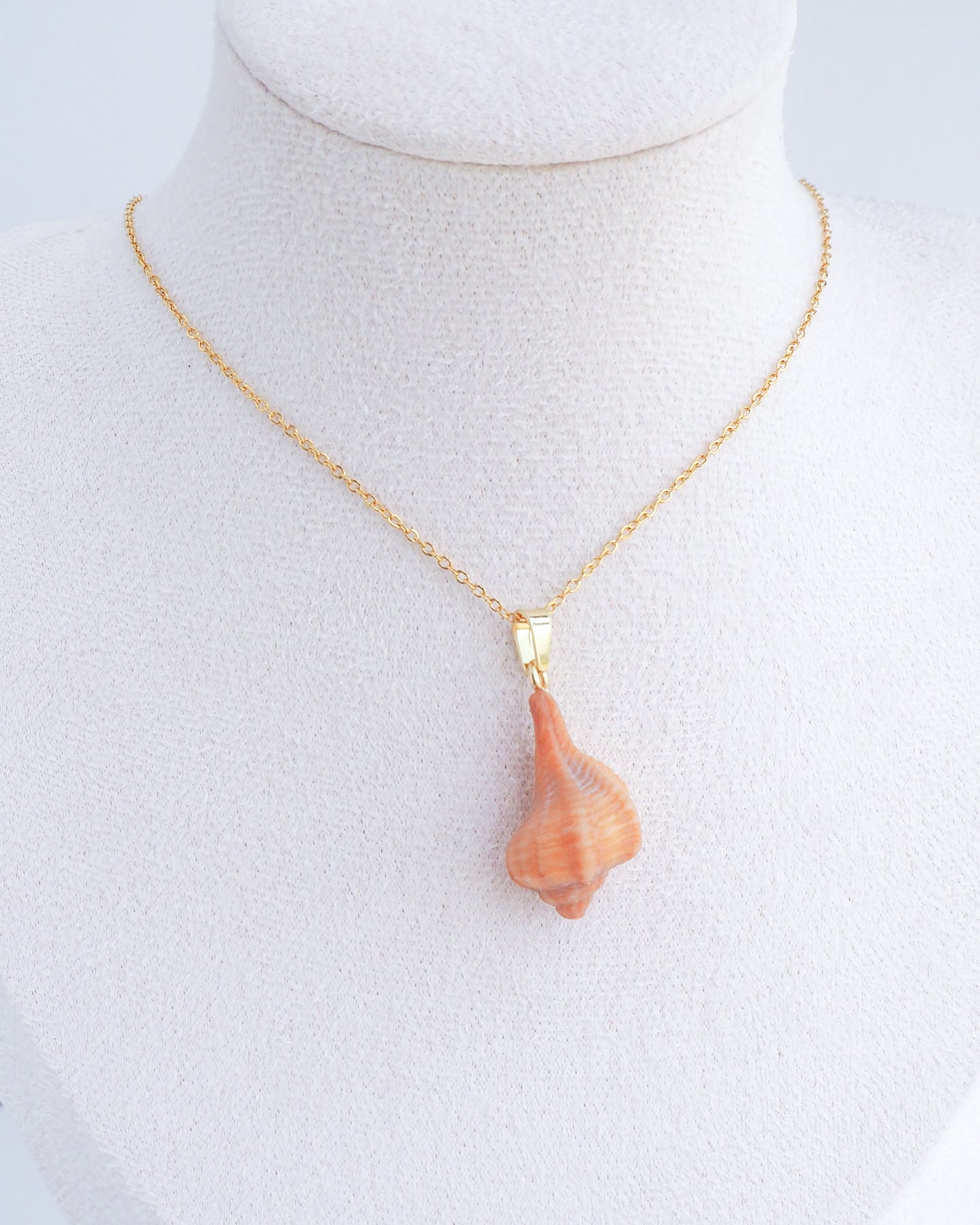 Tiny Brown Murex Shell Gold Necklace on display neck