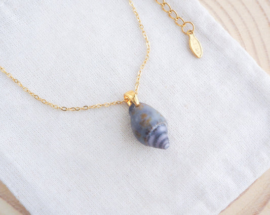 Tiny Dark Dove Shell Necklace, Tiny dark shell from Portugal on display