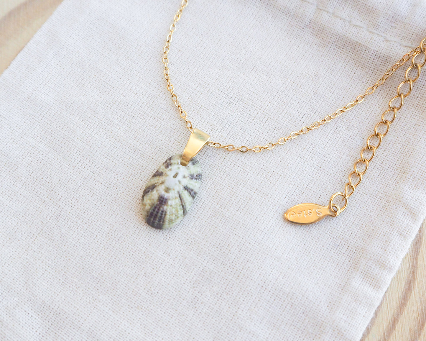 Close up side view of Tiny Green Common Keyhole Limpet Shell Gold Necklace on display