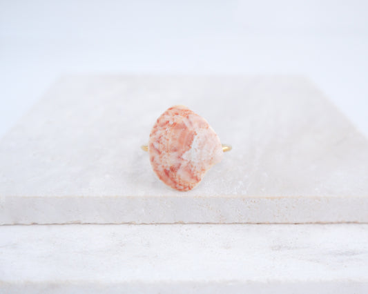 Gold Tiny Marble Venus Shell Ring from Portugal displayed on stone, Marble Pink shell on gold ring, handpicked real shell from Portugal