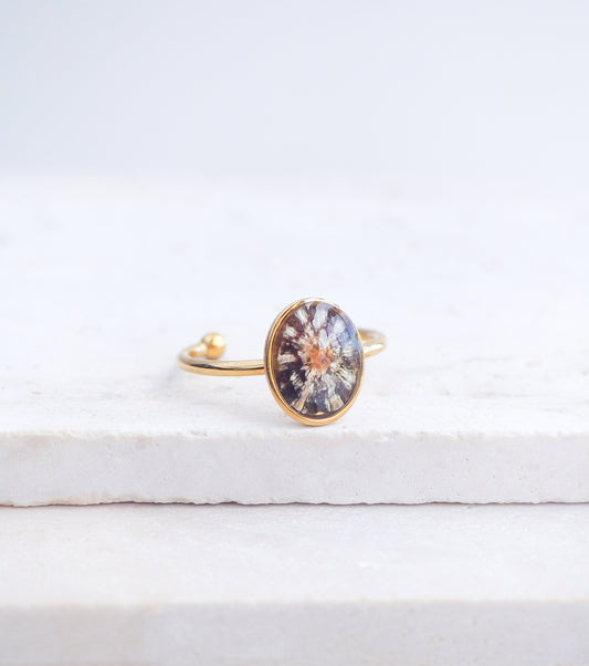 Gold Tiny Zebra Limpet Shell Ring displayed on stone, Limpet Shell Bezel Ring, 18k gold stainless steel, handpicked limpet from the beach of Portugal, Black-Footed Limpet Shell