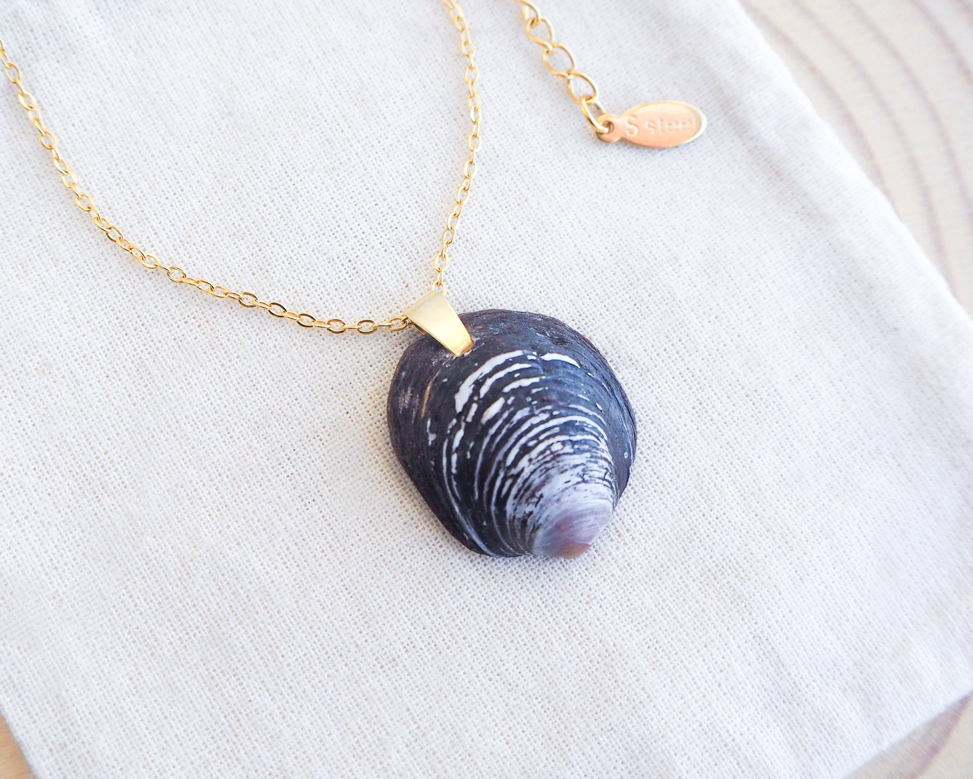 Ungulina Rubra Shell Gold Necklace on display