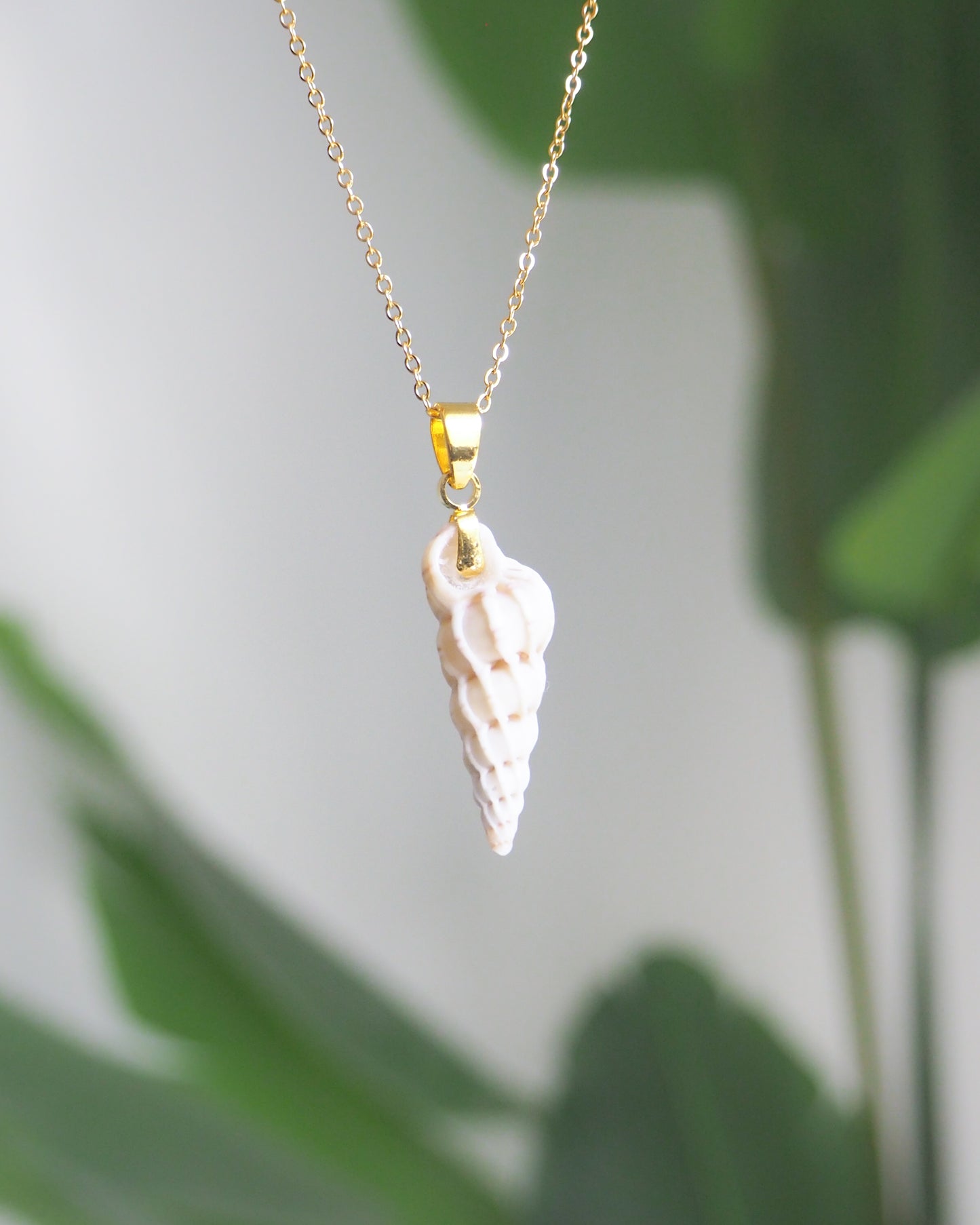 Gold Necklace with White Common Wentletrap back view