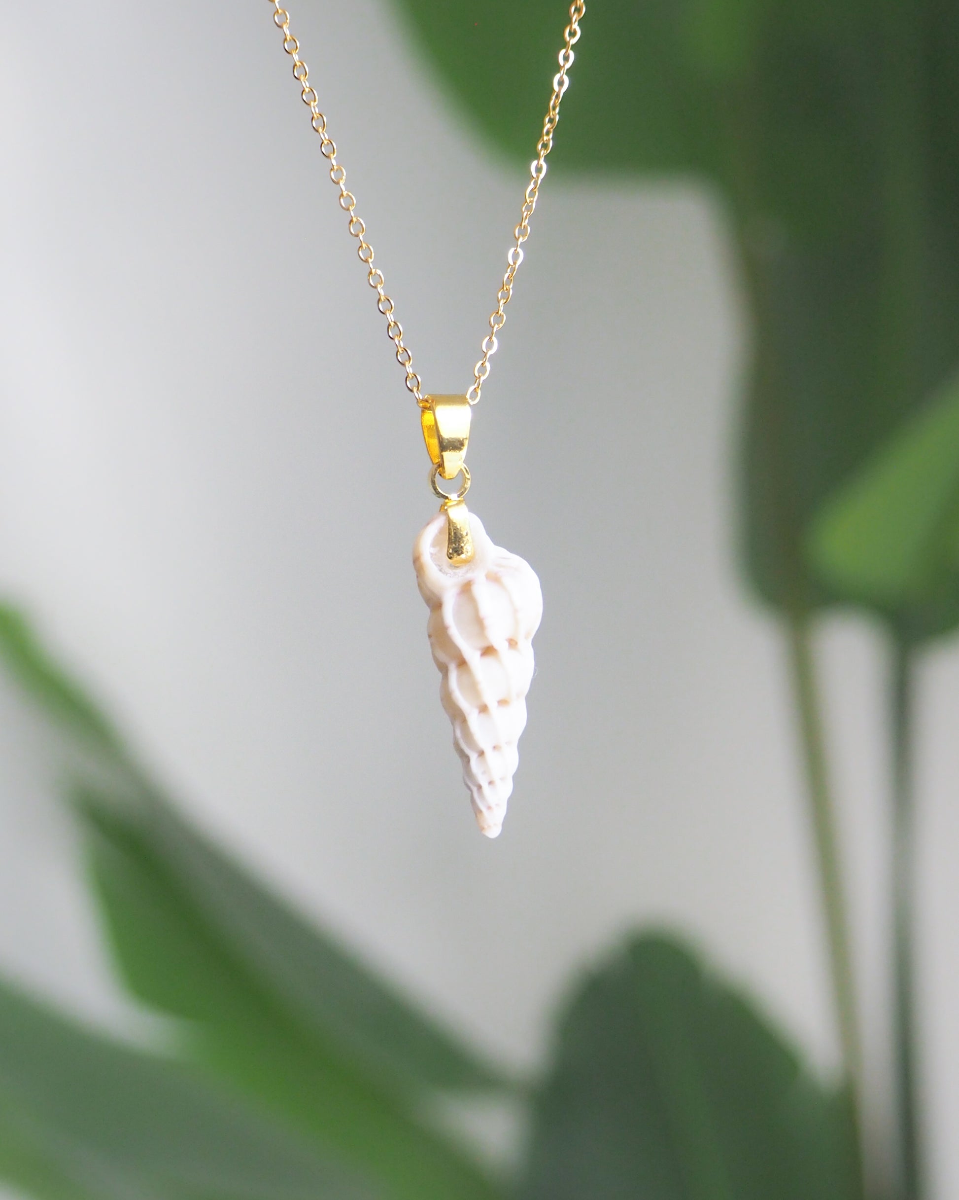 Gold Necklace with White Common Wentletrap back view