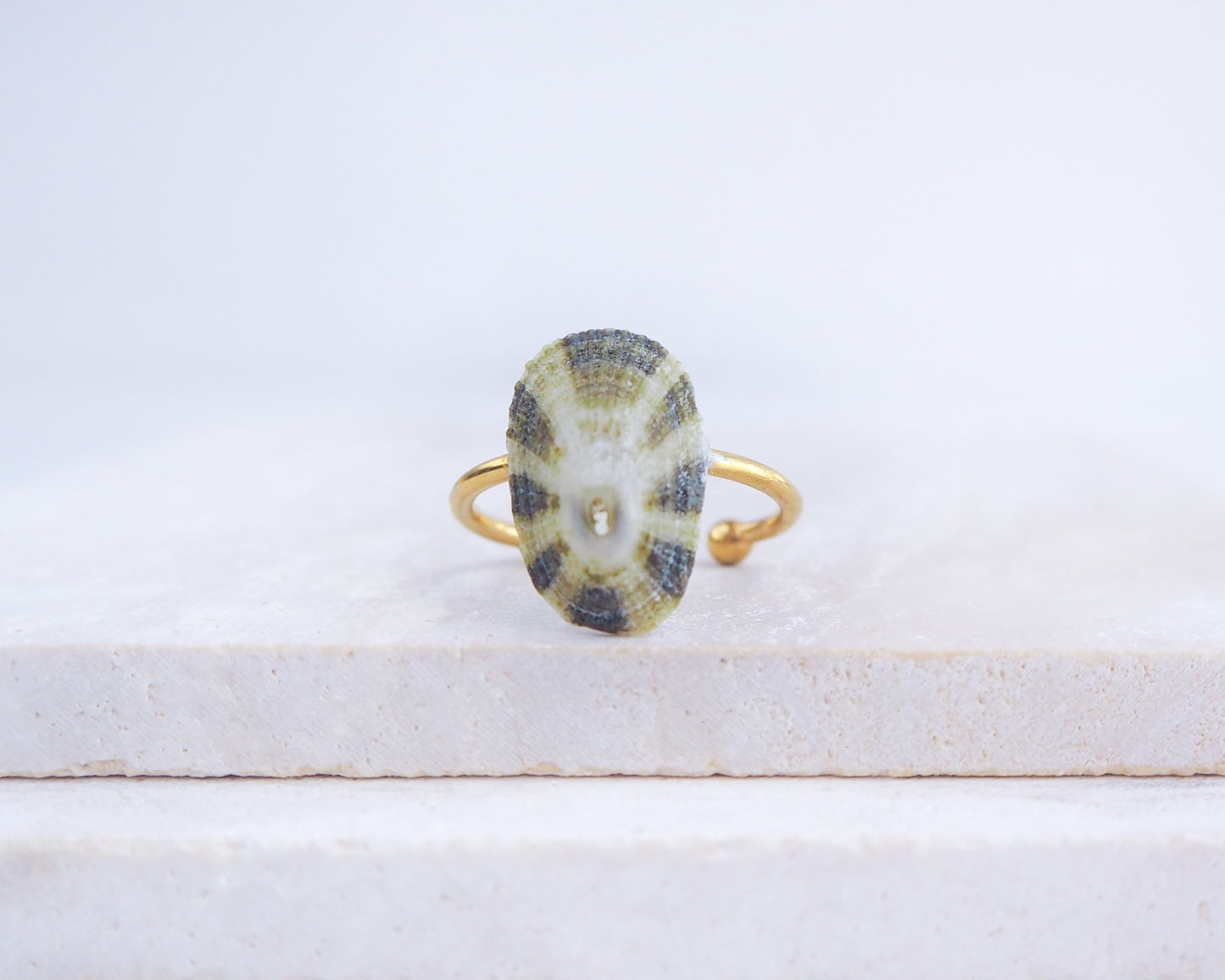 Gold Common Keyhole Limpet Shell Ring on display, Green Limpet Shell from Portugal