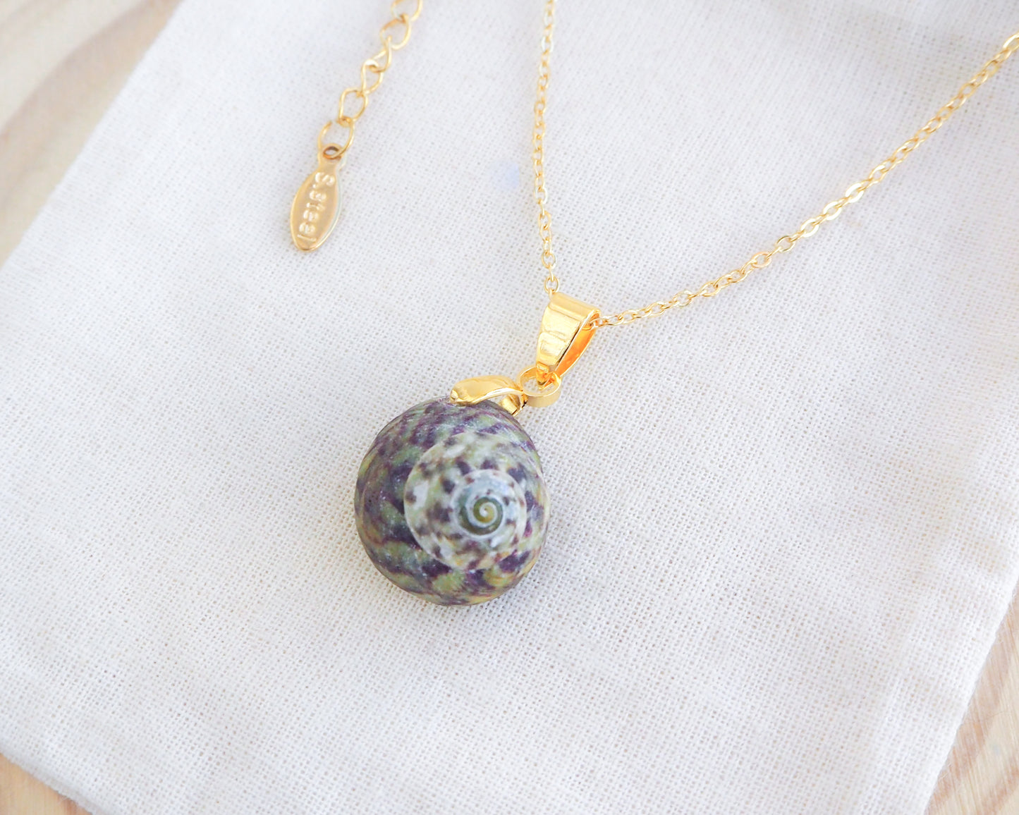 Green Striped Top Shell Gold Necklace, Top Shell from Portugal on display