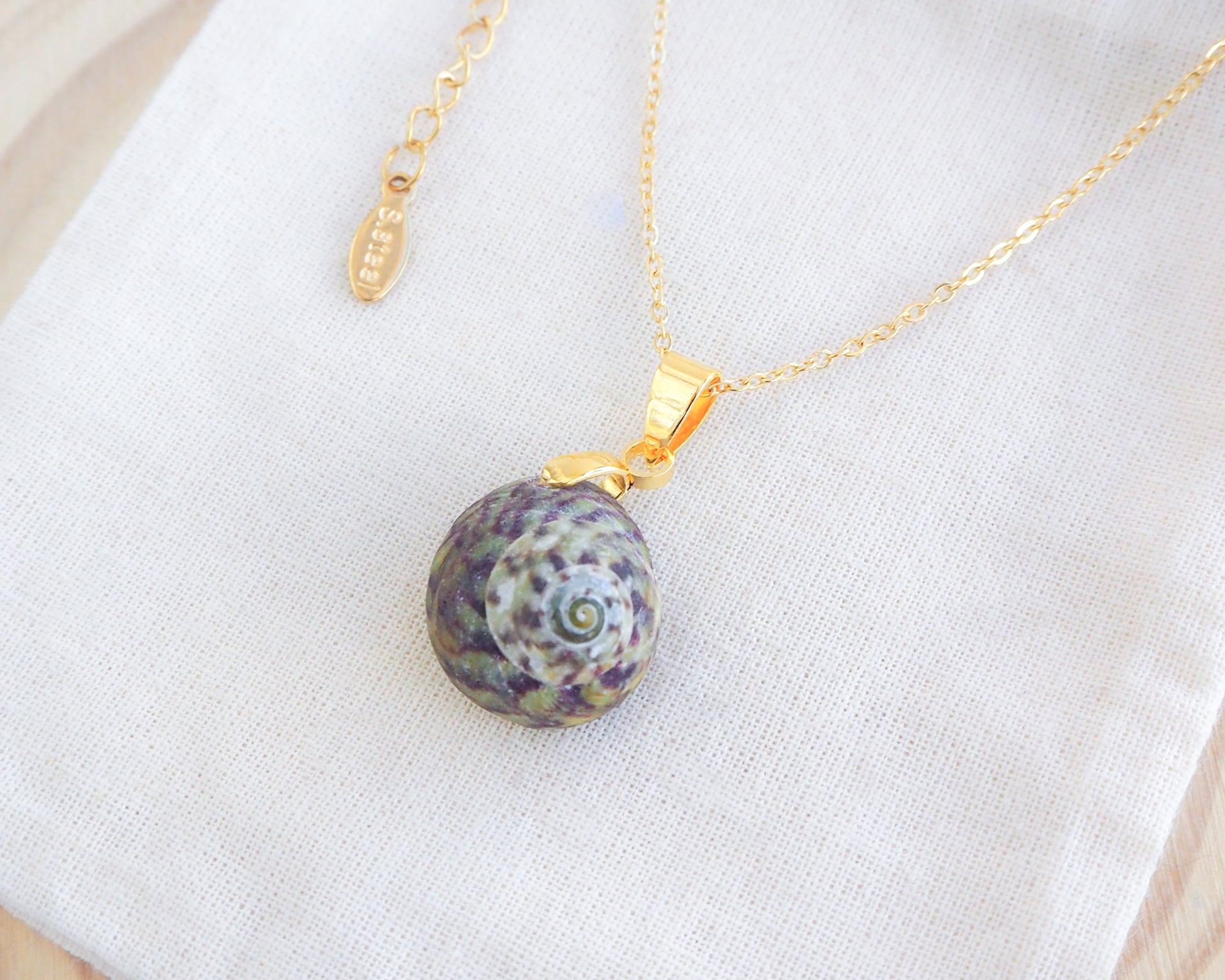 Green Striped Top Shell Gold Necklace, Top Shell from Portugal on display