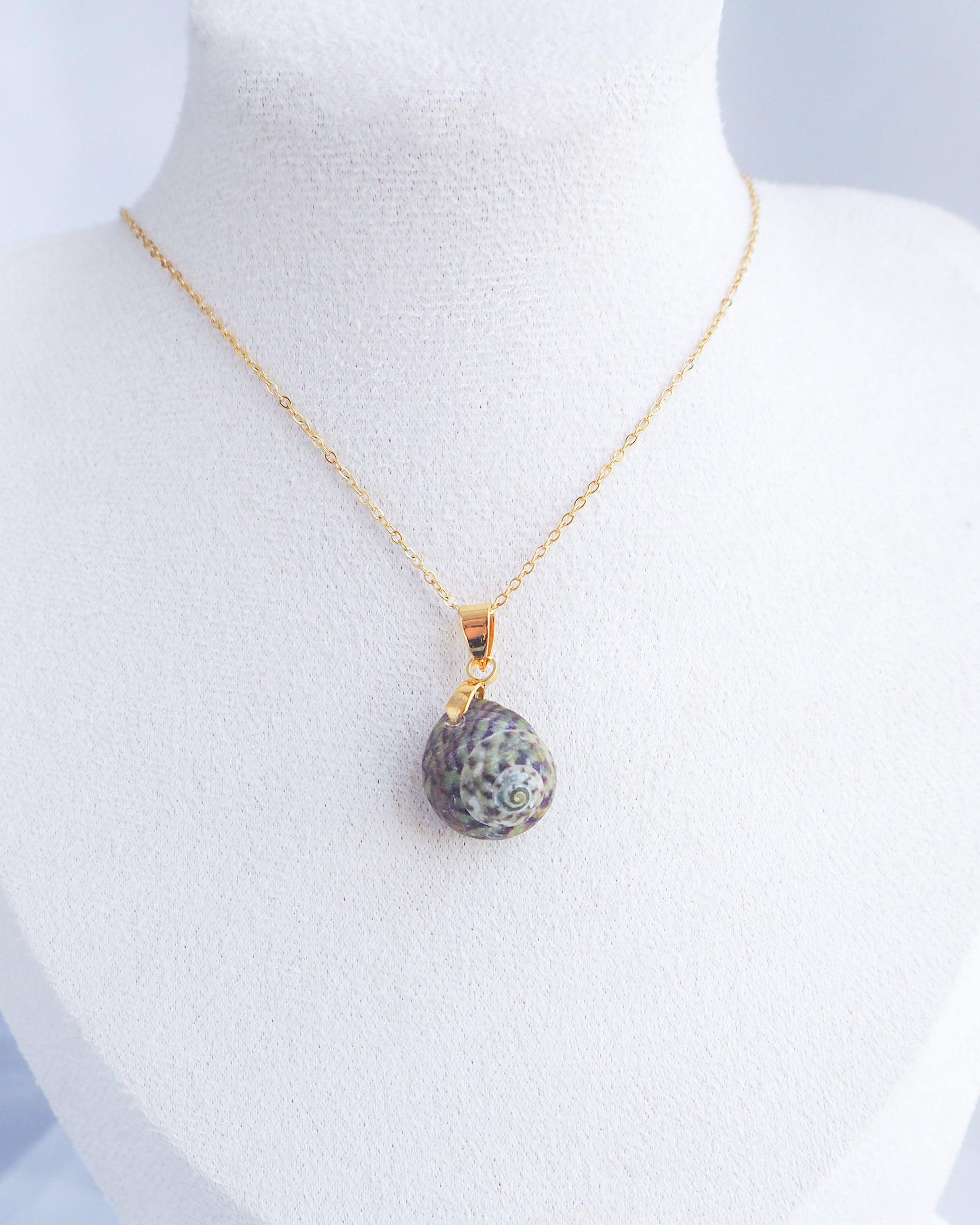 Green Striped Top Shell Gold Necklace on neck displayed