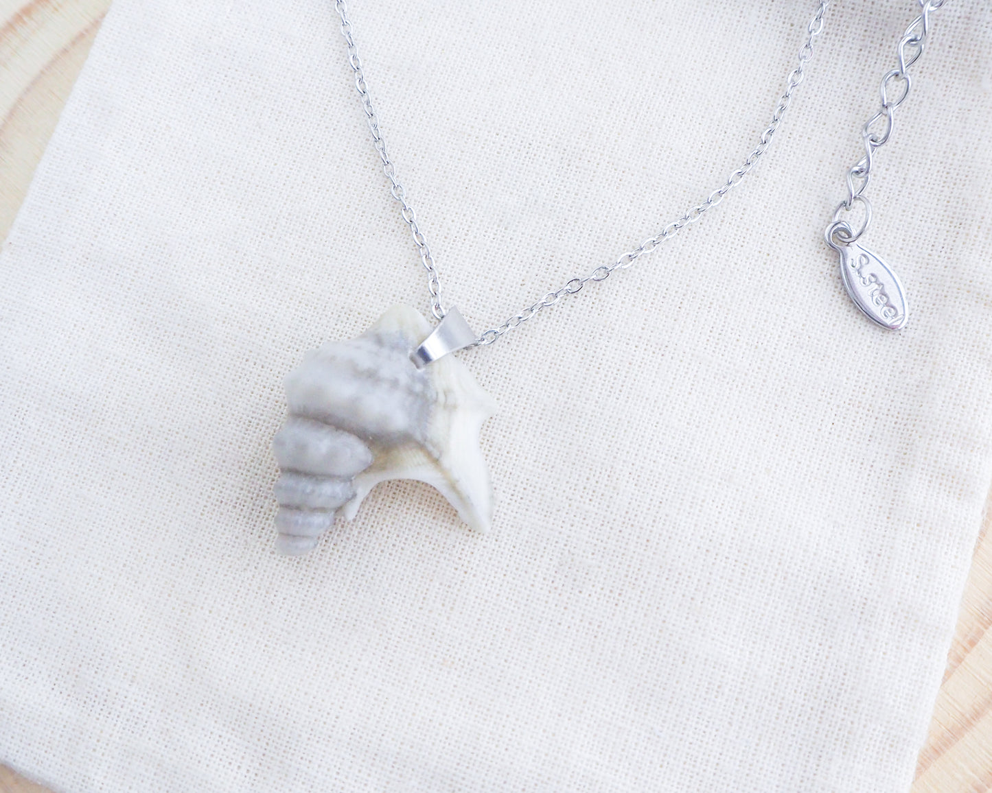 Silver Grey Pelican Foot Shell Necklace, Real Grey Shell from Algarve, Portugal, Stainless Steel chain