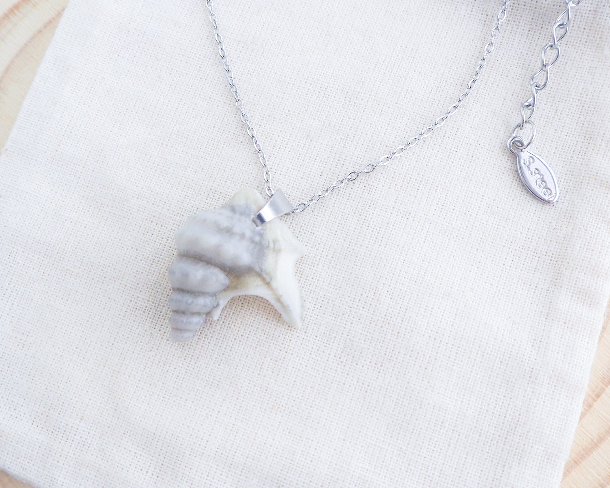 Silver Grey Pelican Foot Shell Necklace, Real Grey Shell from Algarve, Portugal, Stainless Steel chain