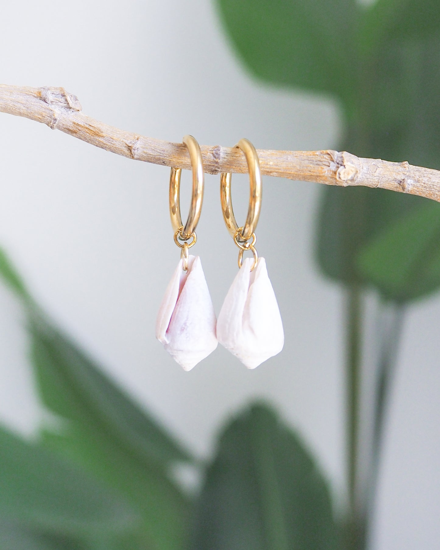 Front view of Light Mediterranean Cone Shell Gold Earring Hoops with green plant background, handpicked cone shells from Portugal, 18k gold stainless steel shell earring hoops, seabylou
