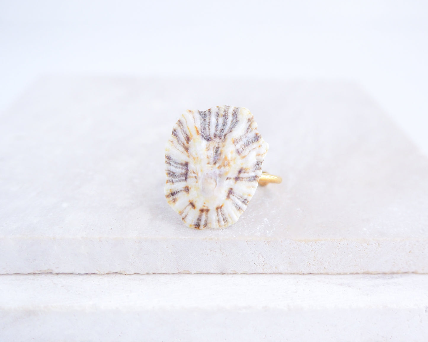 Close up front view of Light Limpet Shell Gold Ring from Portugal on stone display, Handpicked Rough Limpet Shell from Portugal, Gold Stainless Steel ring with Limpet Shell