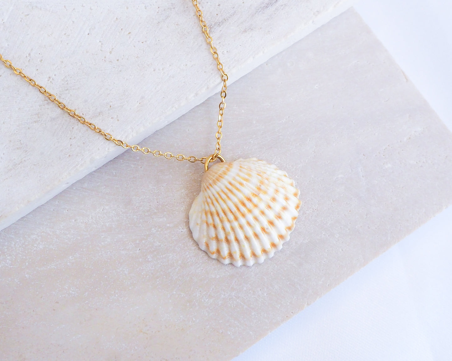 Mediterranean Cockle Shell pendant necklace from Portugal on a gold chain against a light background