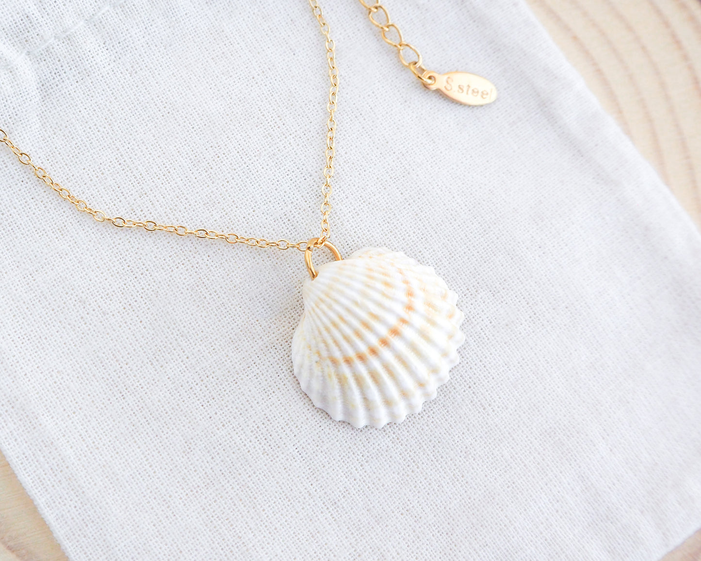Gold Light Mediterranean Cockle Shell on display Necklace horizontal on display, Sunny Yellow Shell from Portugal