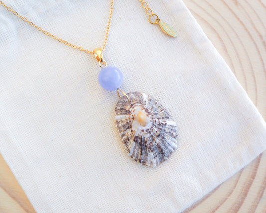 Limpet Shell Necklace with Blue Angelite Gemstone on display