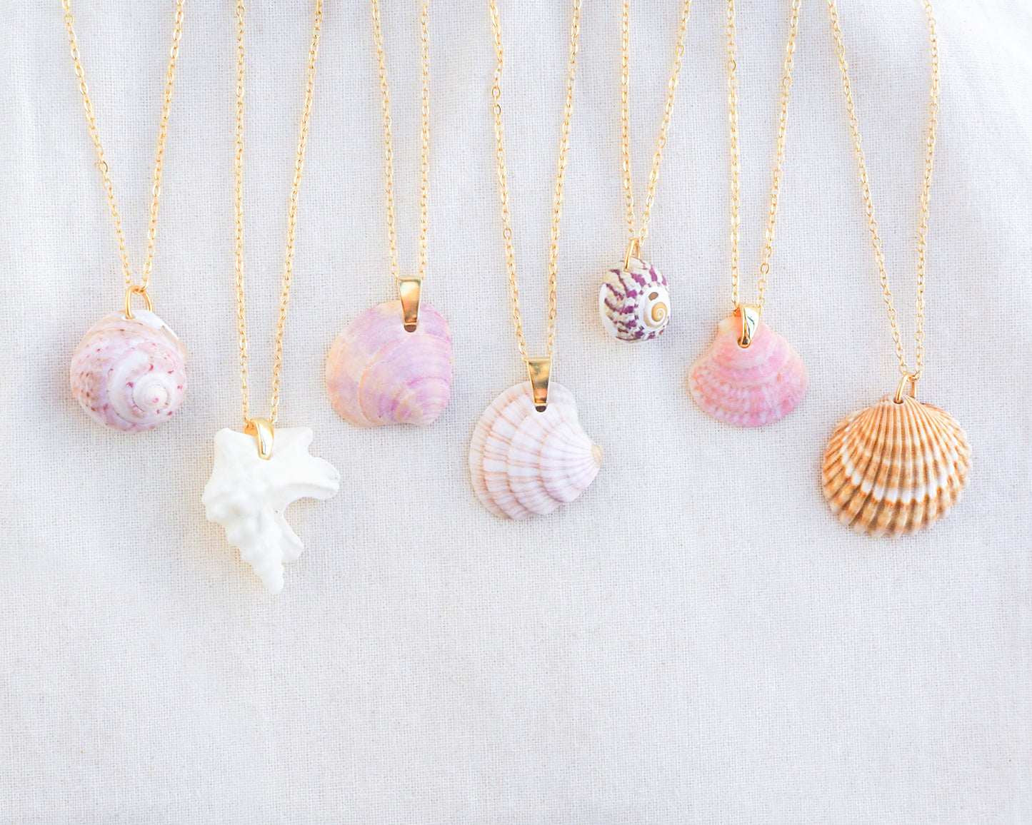 Mix of Shell Necklaces from Portugal 2025