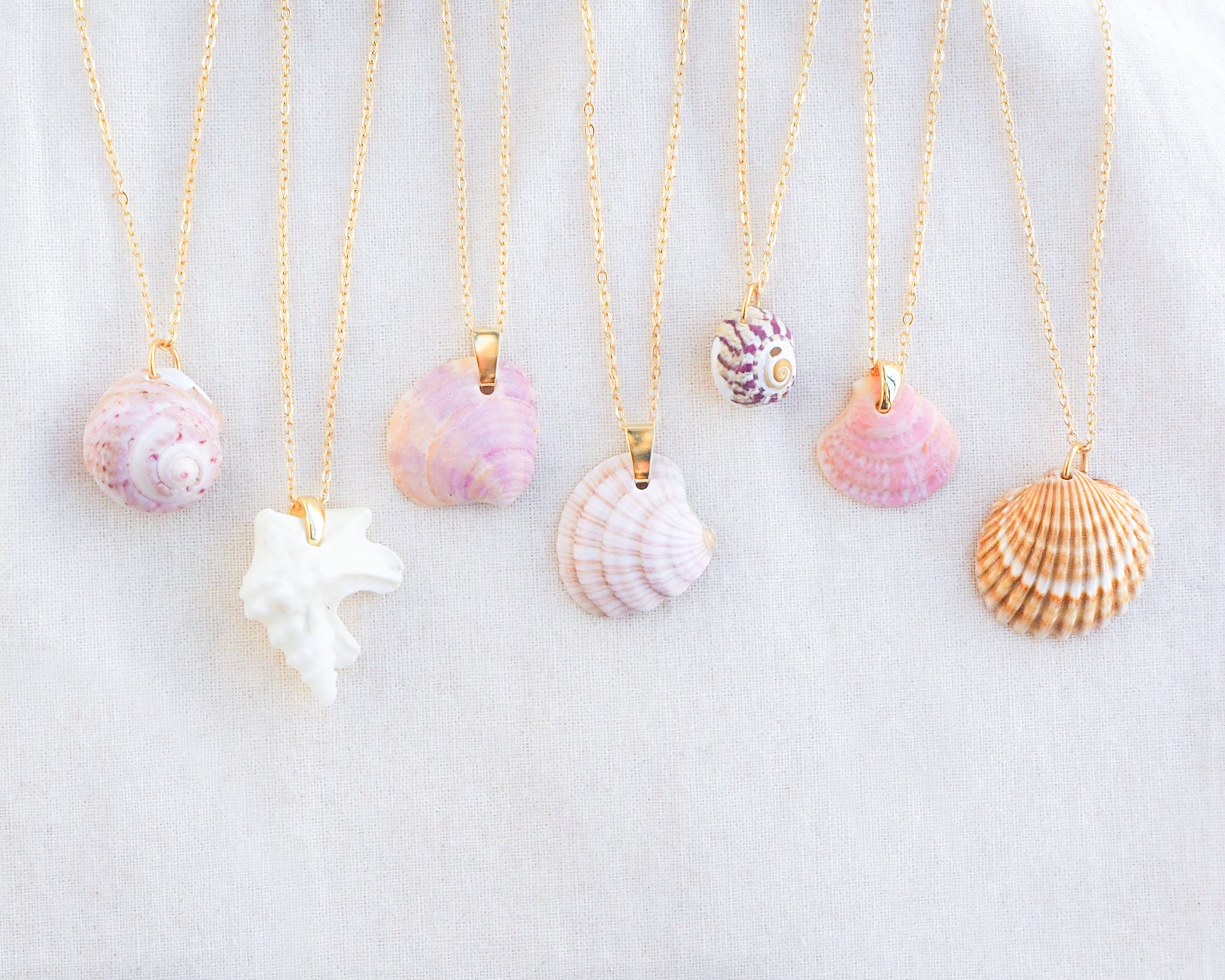 Mix of Shell Necklaces from Portugal 2025
