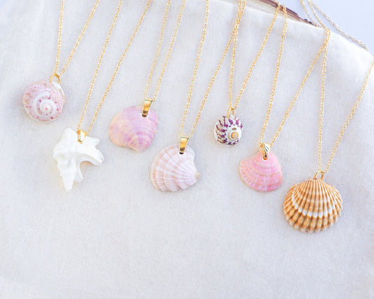 Mix of new shell necklaces from Portugal