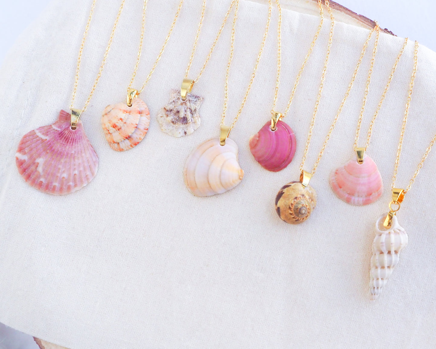SEASHELL NECKLACE ~ Gold Fuchsia Pink Venus Shell