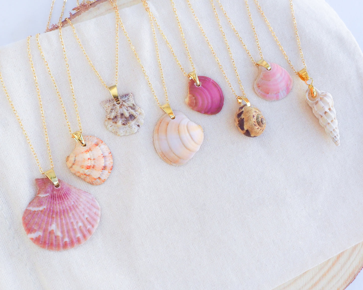 SEASHELL NECKLACE ~ Gold Fuchsia Pink Venus Shell
