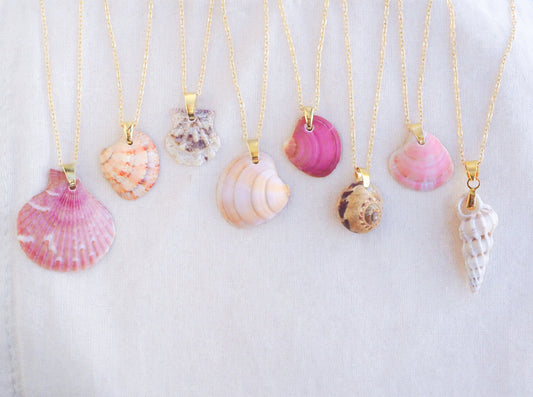 SEASHELL NECKLACE ~ Gold Fuchsia Pink Venus Shell