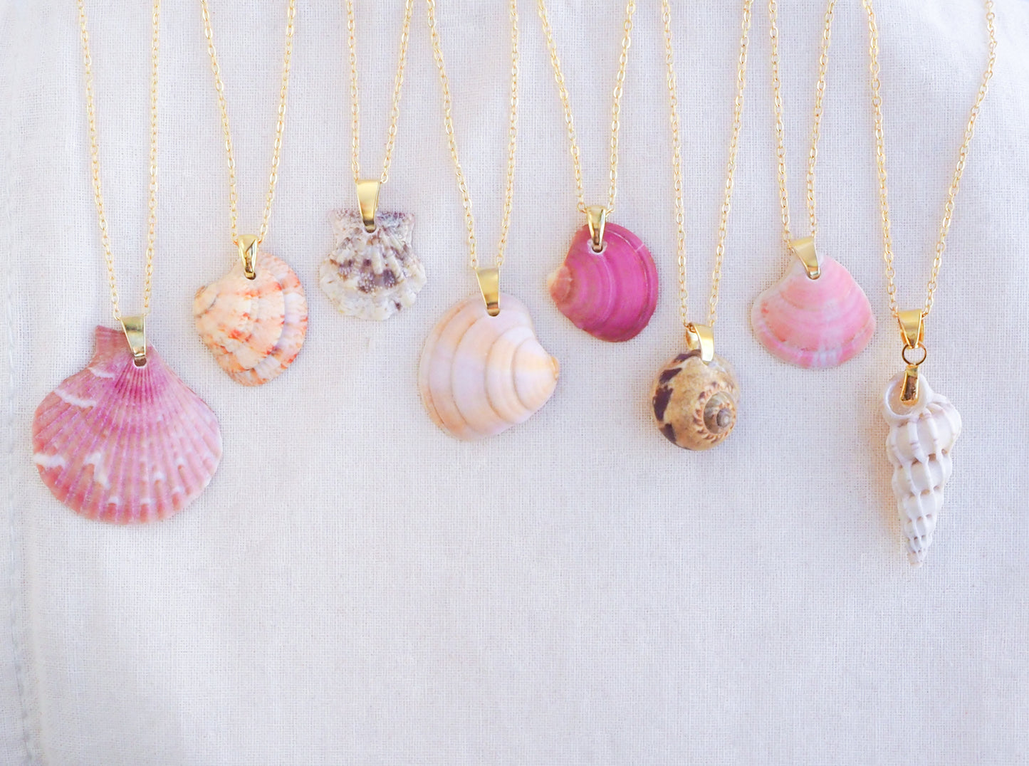 SEASHELL NECKLACE ~ Tiny Brown White Leopard Scallop Shell