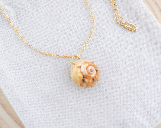 Gold Magus Top Shell Necklace on display side view