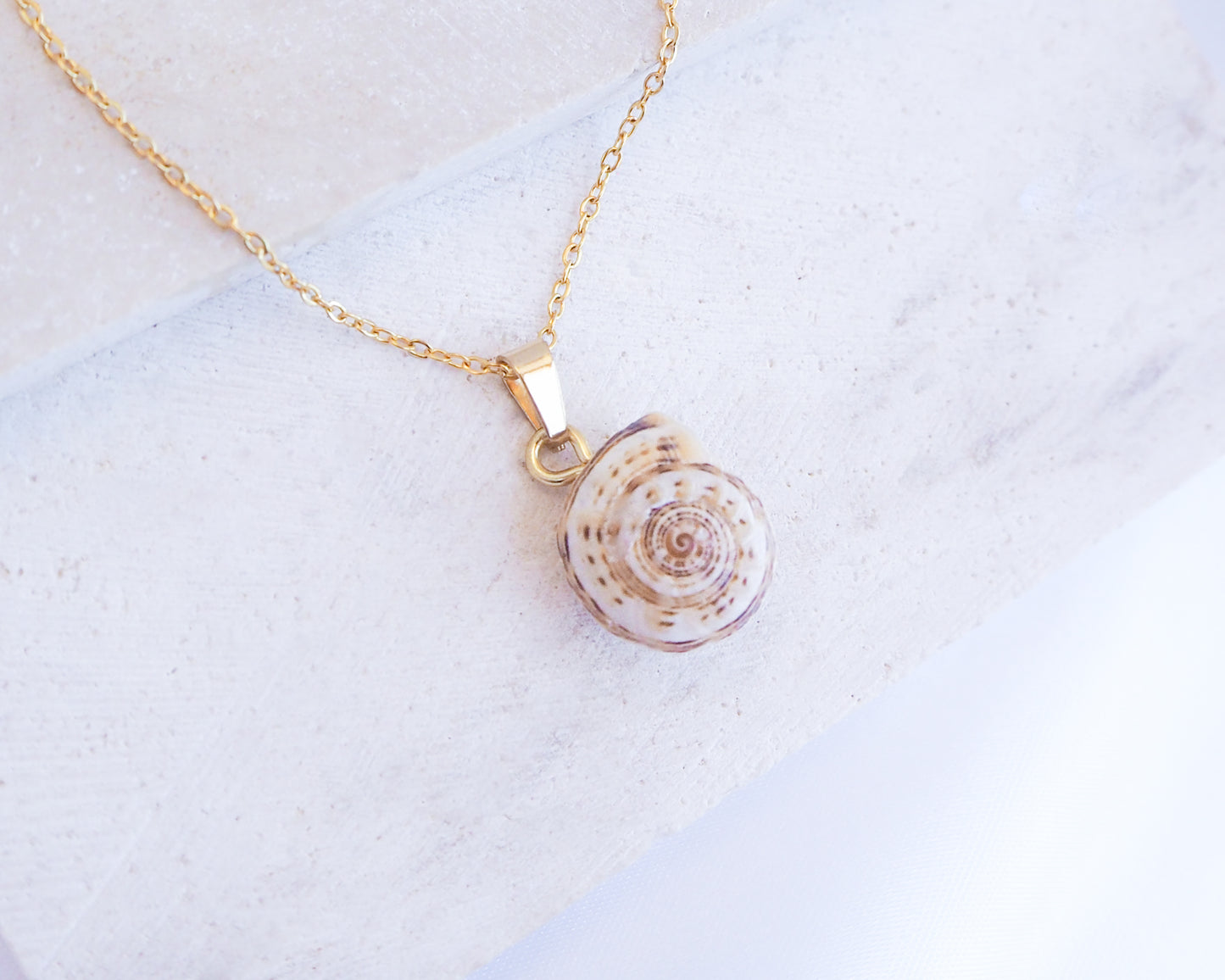 Mediterranean Coastal Snail Gold Necklace IV, Caracol, Sand Snail from Portugal on display
