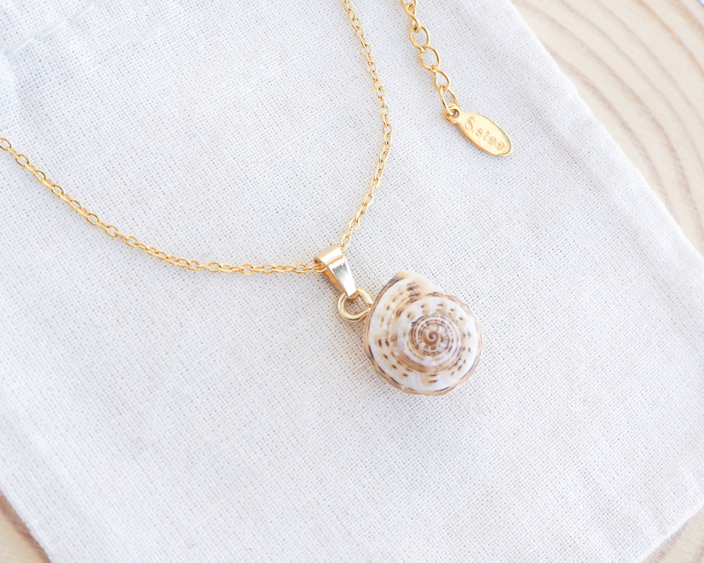Close up of Gold Mediterranean Coastal Snail Necklace IV, Caracol, Sand Snail from Portugal on display