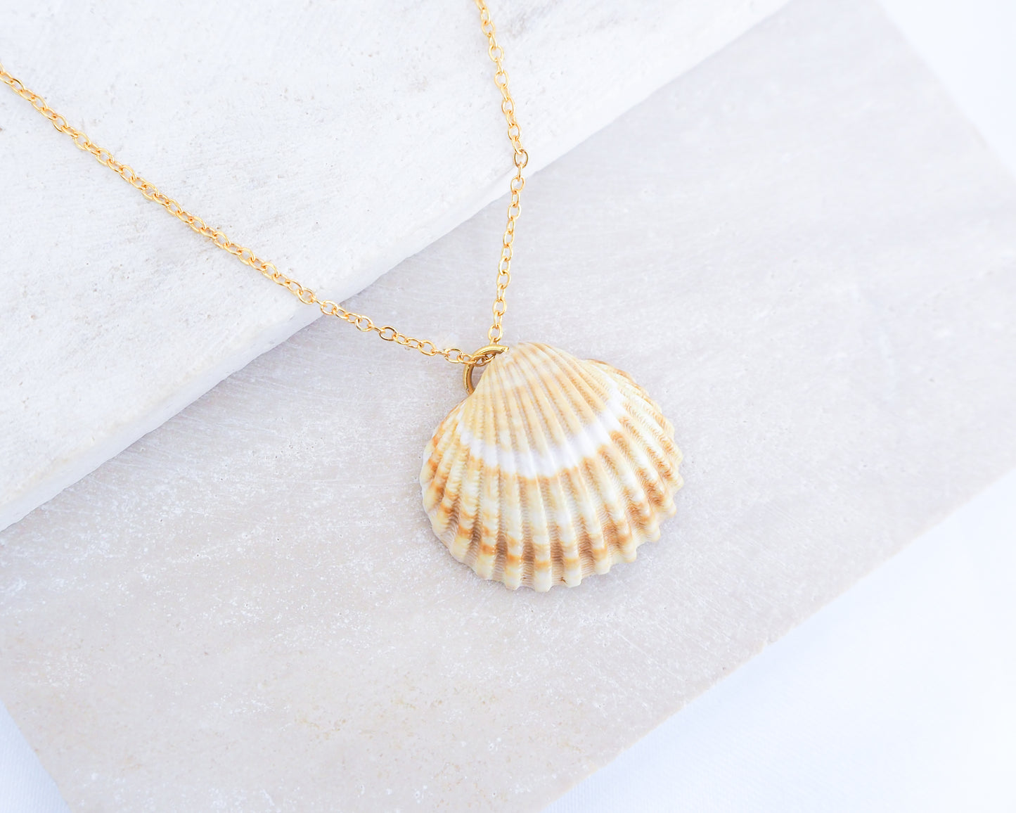 Mediterranean Cockle Shell necklace from Portugal on a gold chain against a light background