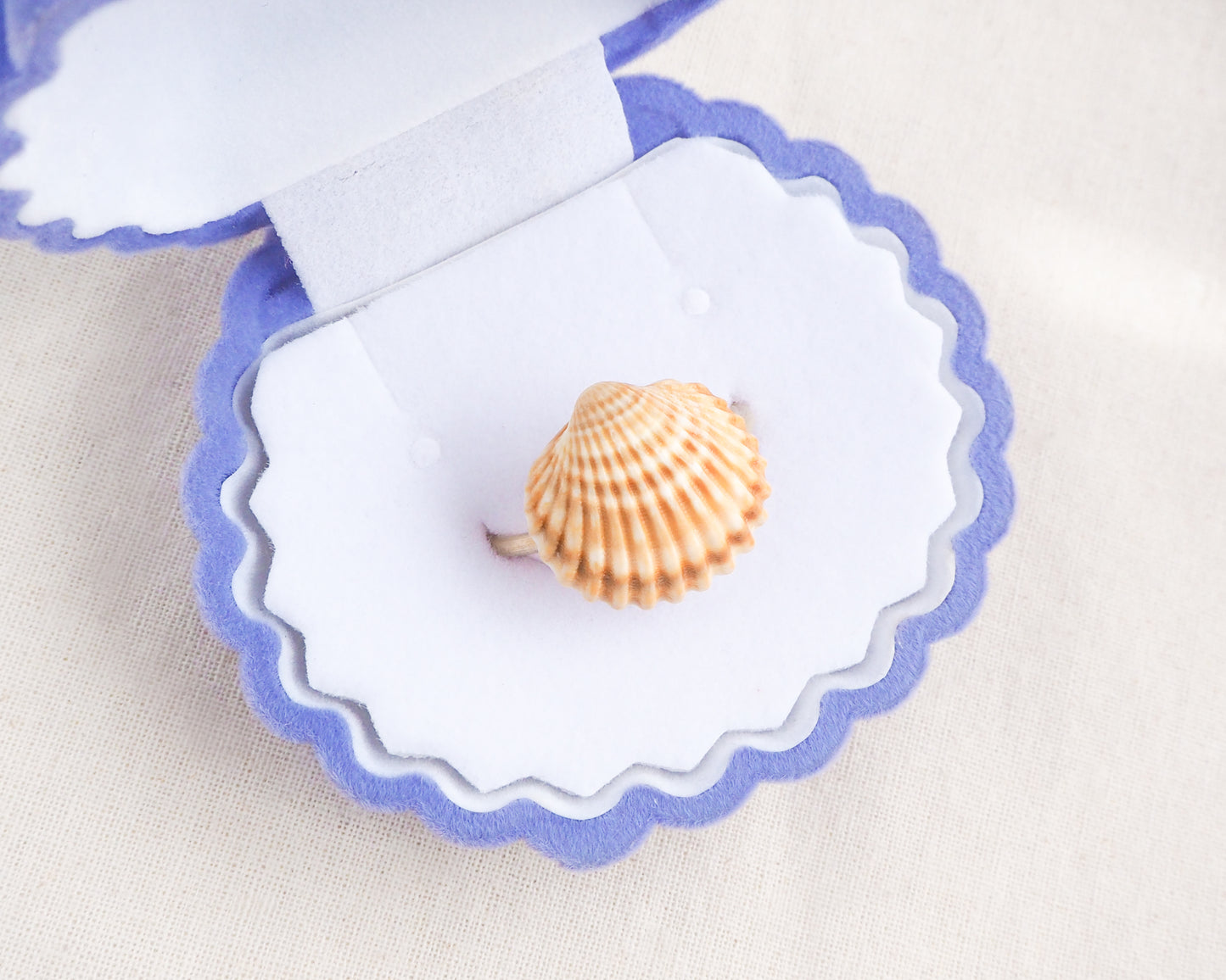 Handcrafted Mediterranean cockle shell ring from Portugal on display in seashell box, beach girl inspired jewelry, gold ring with Portuguese cockle shell, ocean inspired beach jewelry