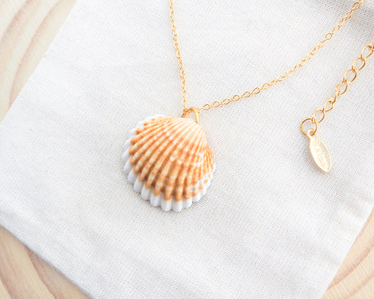 Gold Mediterranean Cockle Shell VII on display Necklace, Sunny Yellow Shell from Portugal