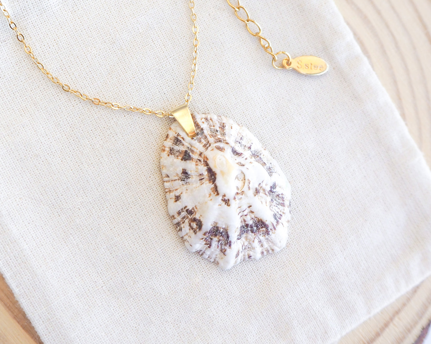 White Brown Mediterranean Limpet Shell Gold Necklace on display