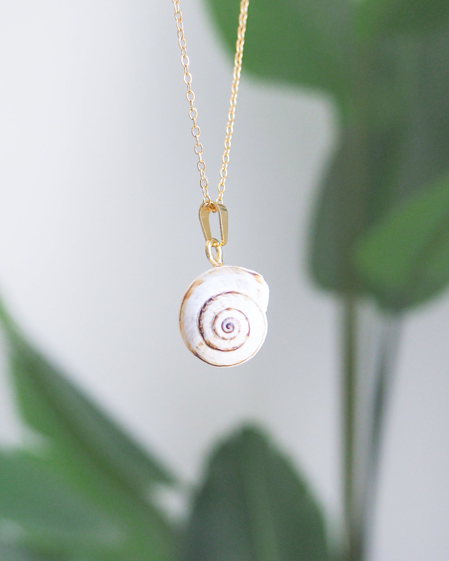 Mediterranean Sand Snail Gold Necklace II front view
