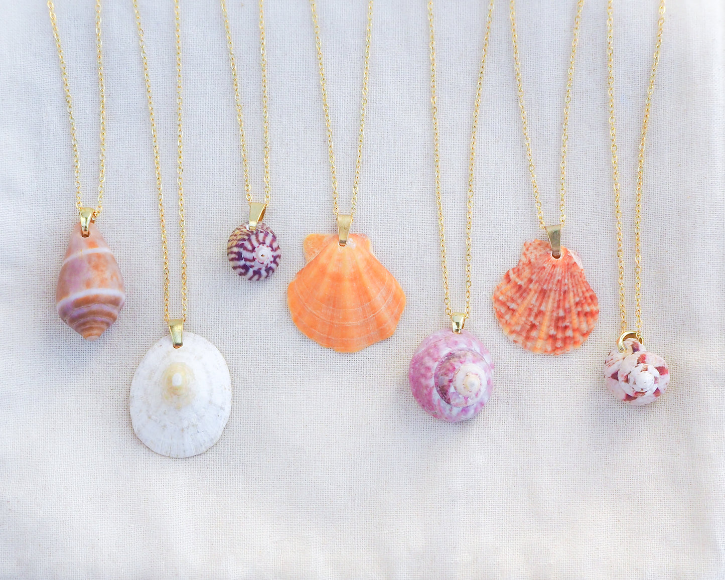 SEASHELL NECKLACE ~ Gold Mediterranean Cone Shell II