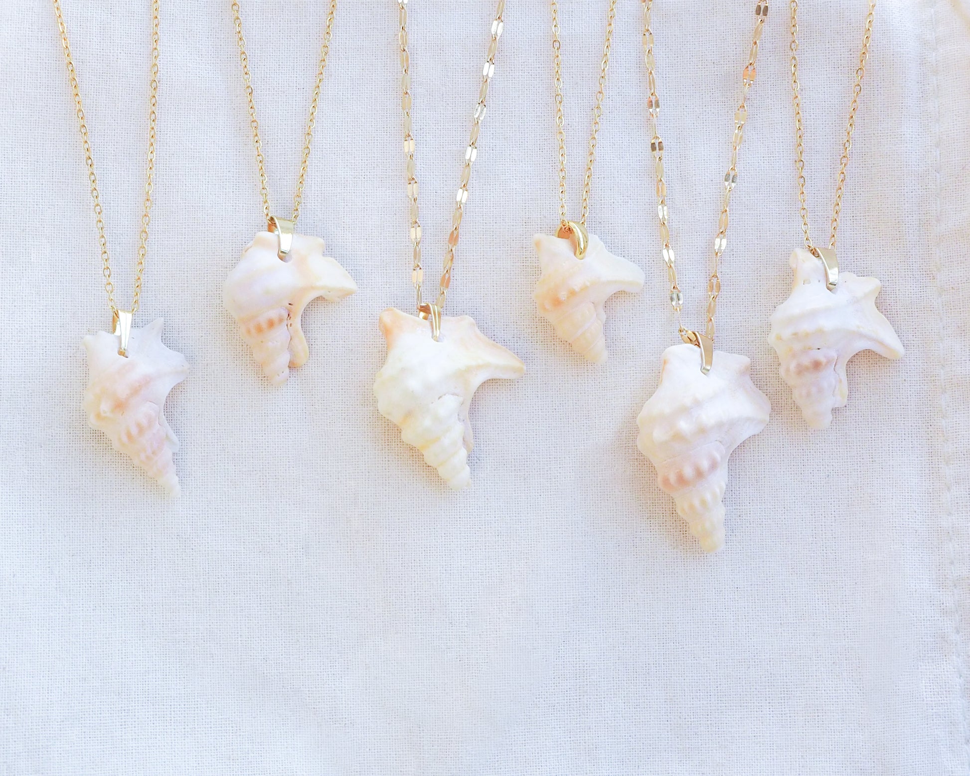 Pelican's Foot Shell Necklaces on display